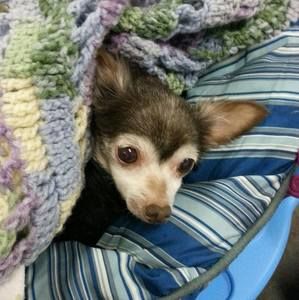 Meet your Posher, Tina